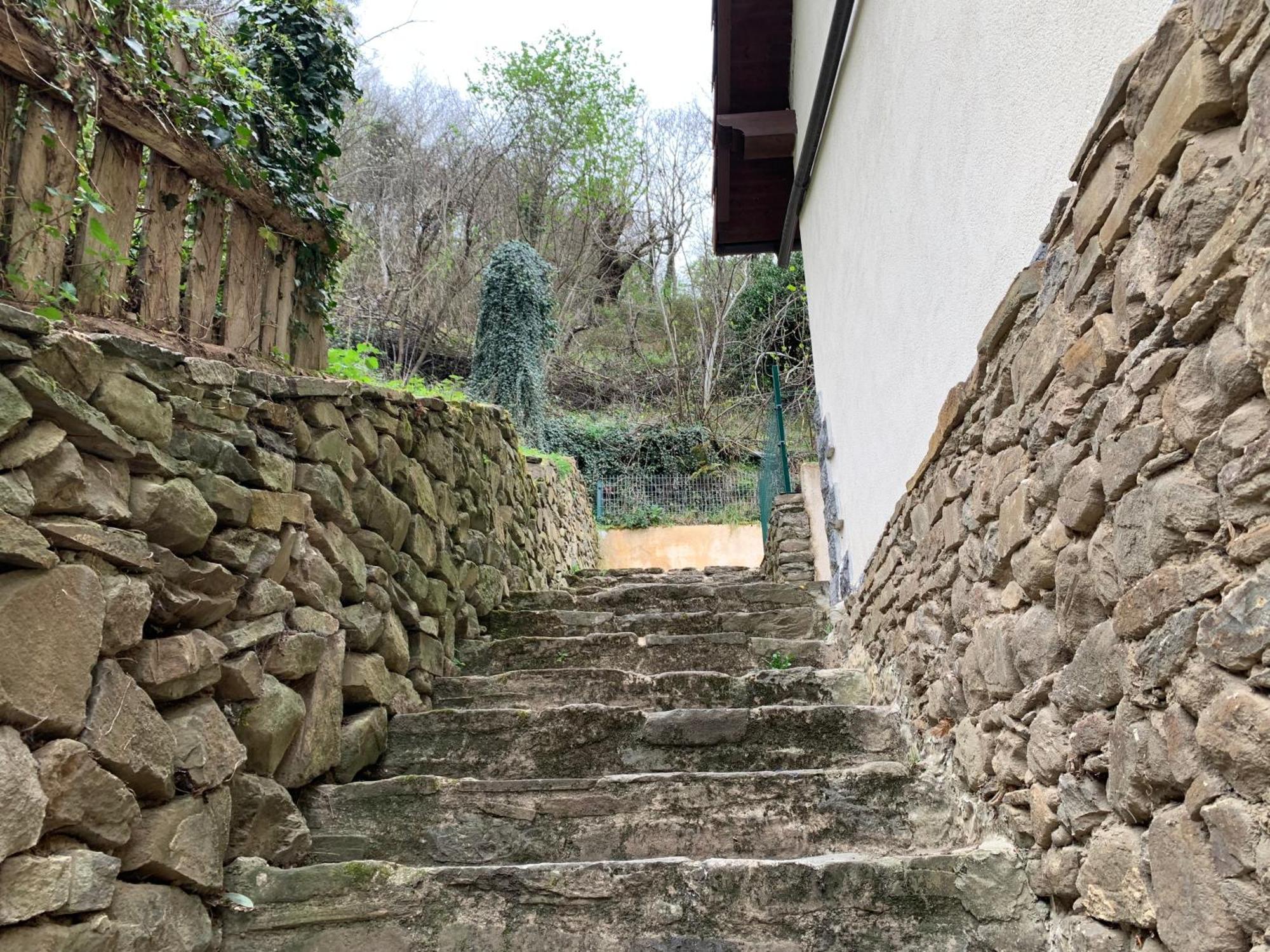 Casa Rural En Santa Cruz-Mieres Bustiello  Exterior photo